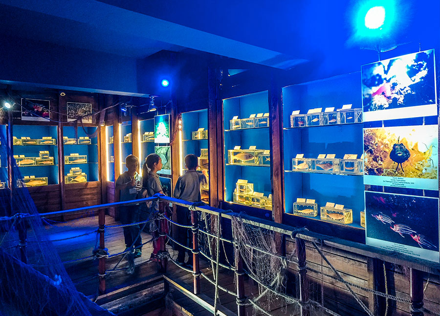 Antalya_Marine_Biology_Museum